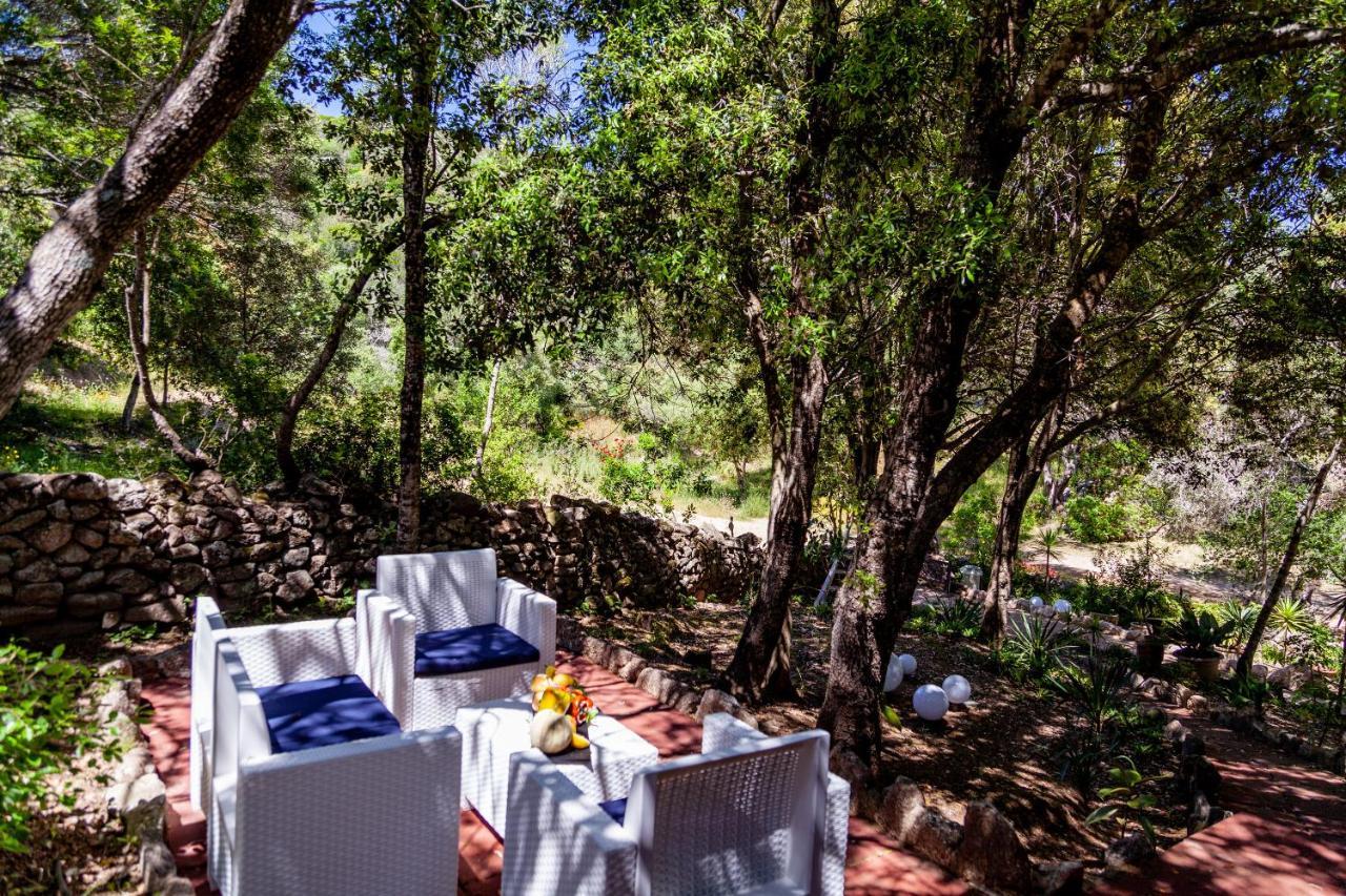 Casa Saltara (Adults Only) Villa Santa Teresa Gallura Exteriör bild