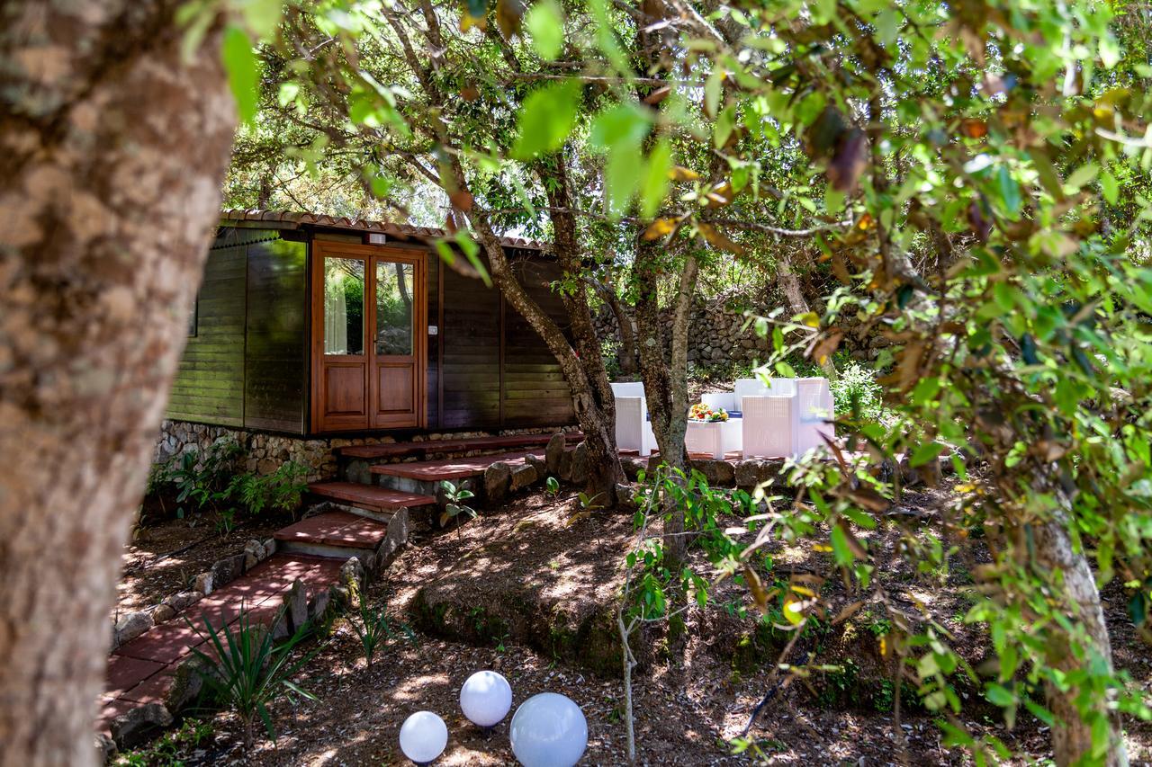 Casa Saltara (Adults Only) Villa Santa Teresa Gallura Exteriör bild