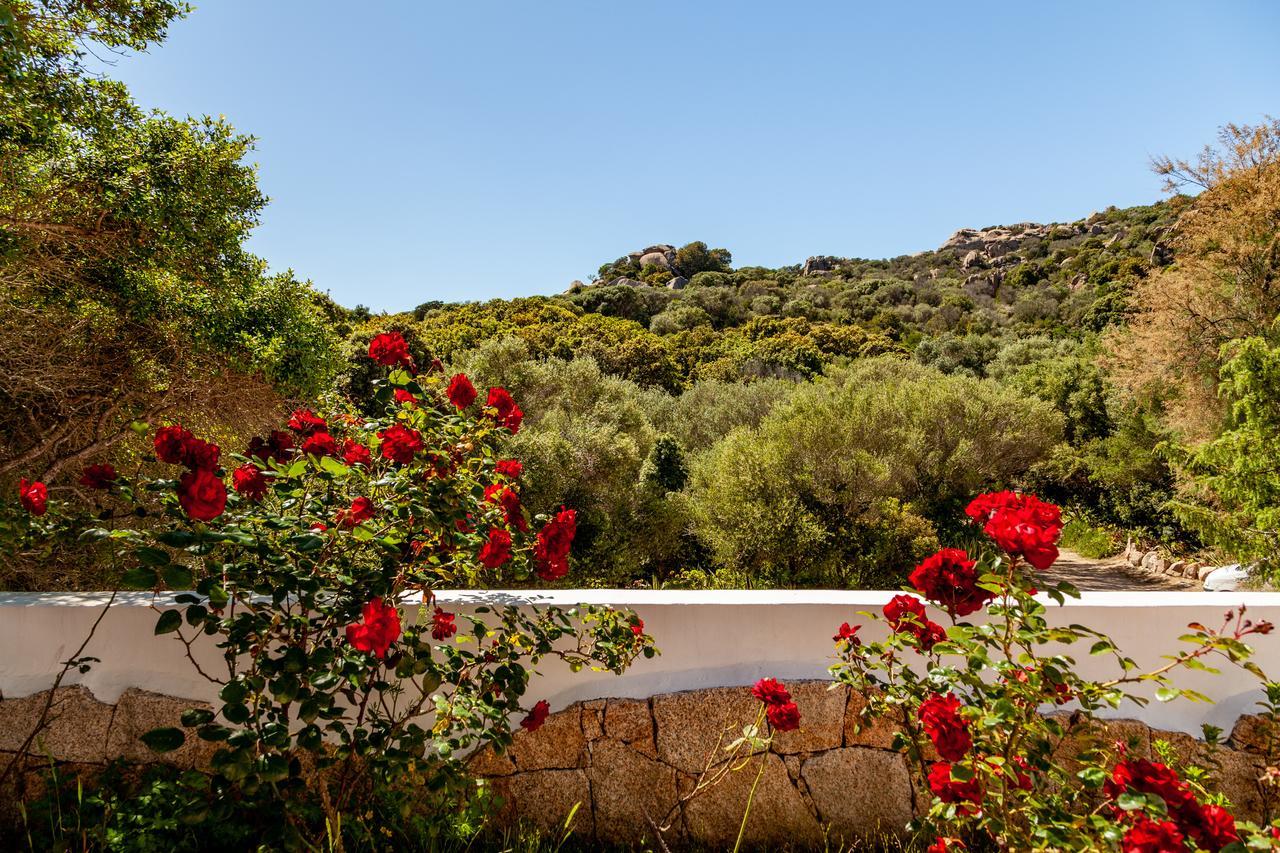 Casa Saltara (Adults Only) Villa Santa Teresa Gallura Exteriör bild