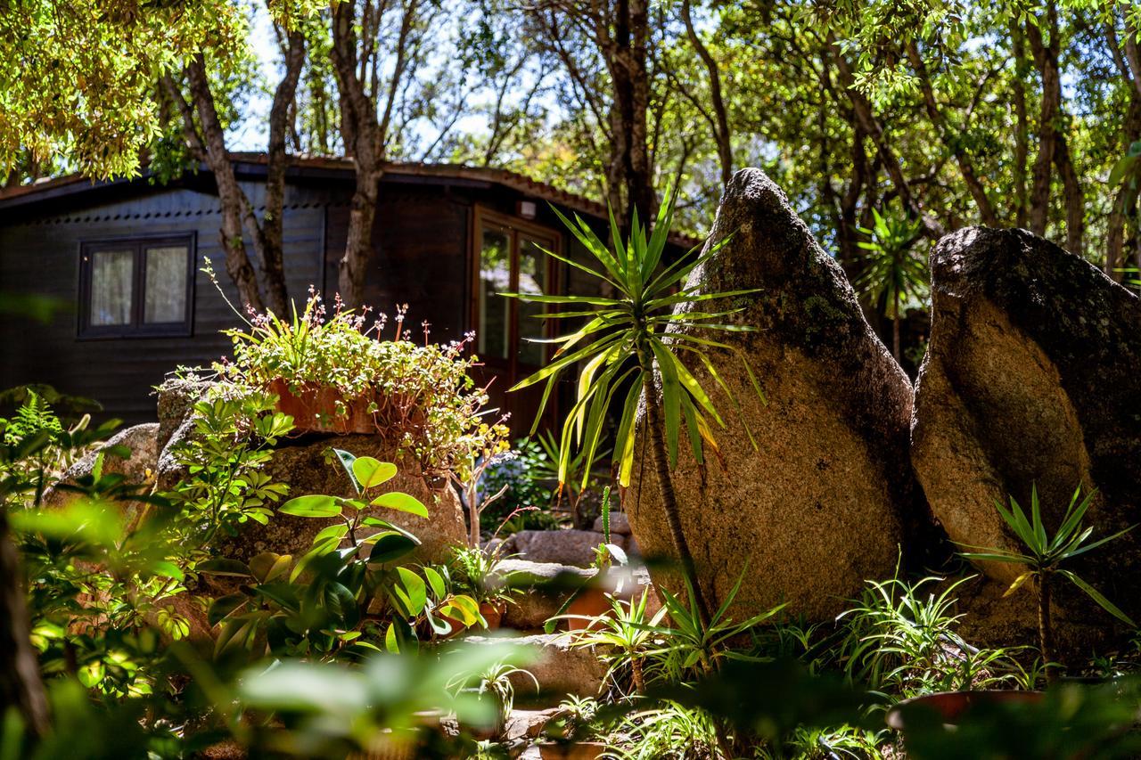 Casa Saltara (Adults Only) Villa Santa Teresa Gallura Exteriör bild