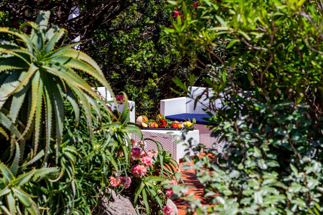 Casa Saltara (Adults Only) Villa Santa Teresa Gallura Exteriör bild
